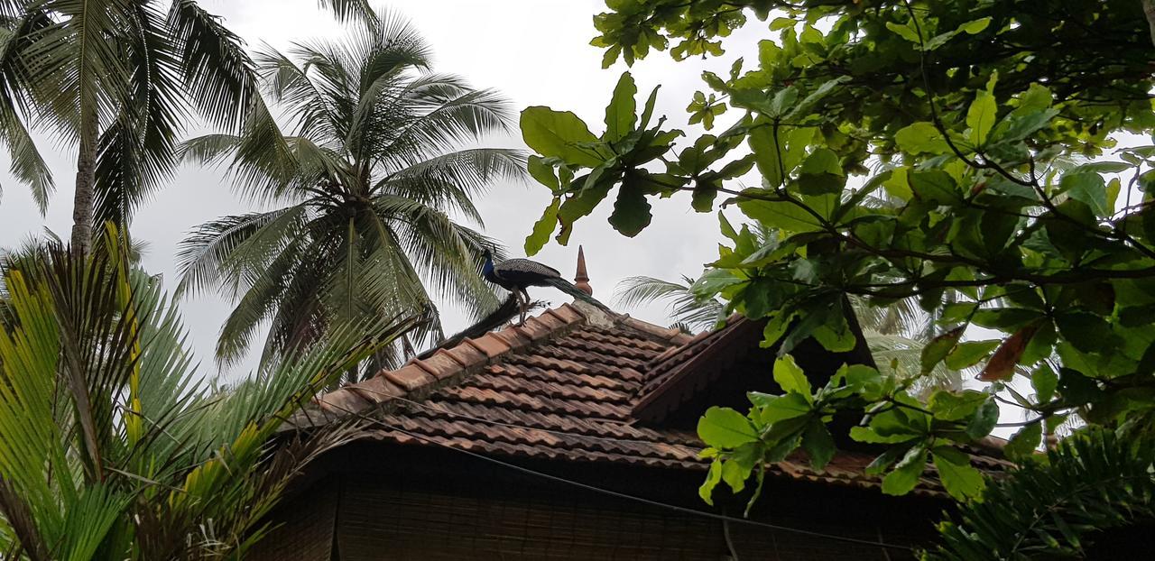 Maadathil Cottages Varkala Zewnętrze zdjęcie